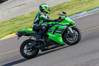 PJ-Motorsport-2019;anglesey-no-limits-trackday;anglesey-photographs;anglesey-trackday-photographs;enduro-digital-images;event-digital-images;eventdigitalimages;no-limits-trackdays;peter-wileman-photography;racing-digital-images;trac-mon;trackday-digital-images;trackday-photos;ty-croes